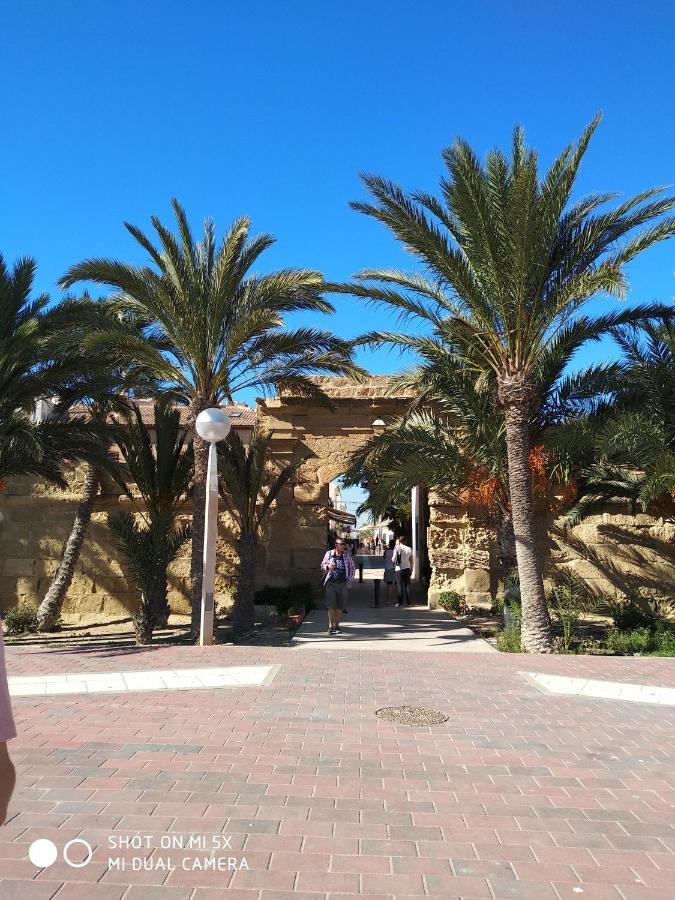 Residencial El Pinet Beach La Mariña 外观 照片